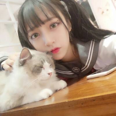 仙梦传奇手机版